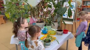 Уход за комнатными растениями