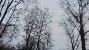 17 ноября прогноз от волшебника...