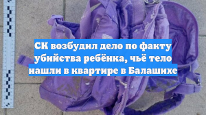 СК возбудил дело по факту убийства ребёнка, чьё тело нашли в квартире в Балашихе