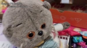 Будни Никиты/1 сезон 2 серия🐱