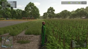 Farming Simulator 25 - дожить до урожая кукурузы