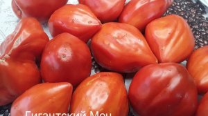 Новые сорта томатов от Катарины. Обзор с фото и описанием.