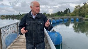 Наплавной мост с синими шарами и котиками