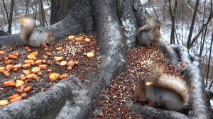 Спасибо всем, кто помогает и поддерживает мой канал.