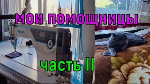 Мои помощницы. Часть II