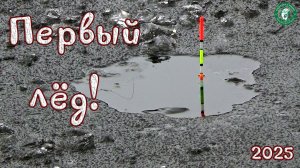ПЕРВЫЙ ЛЁД, ПОЛОВИЛИ РЫБЕХИ ОТ ДУШИ! РЫБАЛКА НА ЗИМНИЮ УДОЧКУ И ПОПЛАВОК В ЗАТОНЕ, ЛОВИМ НА УРАЛЕ!