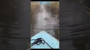 Премьера песни "Два индейца" Автор: Сергей Толпыгин