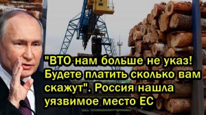 "ВТО нам больше не указ! Будете платить сколько вам скажут". Россия нашла уязвимое место ЕС