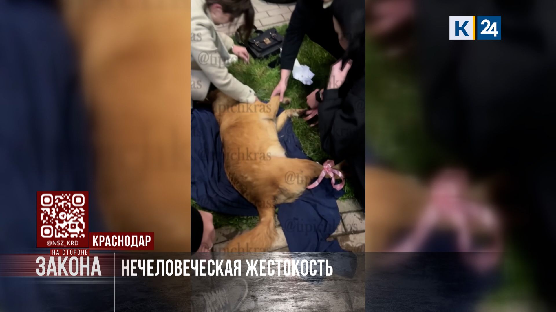 На стороне закона