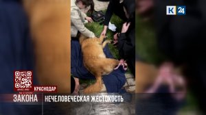 На стороне закона