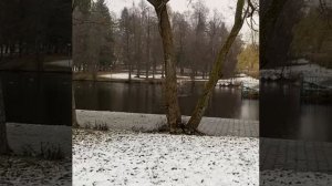 Зимняя сказка начинается🌲