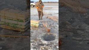 Зимняя рыбалка на севере ХМАО