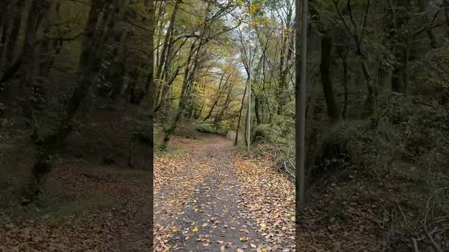 Дикие Сочи - нам 4 года / Спортивный Сочи / Бег по горам. смотреть онлайн