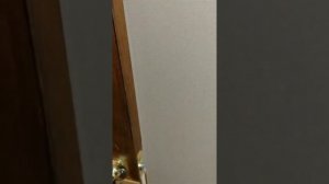 продажа комната в Питере с санузлом