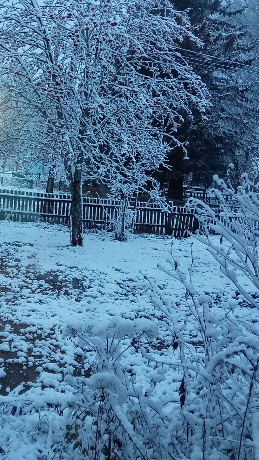 Зима. Странности