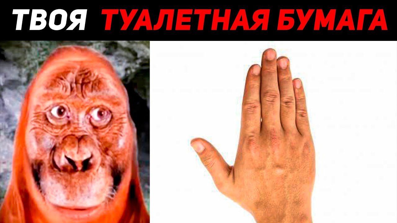 ТВОЯ ТУАЛЕТНАЯ БУМАГА ЭТО: | МИСТЕР ИСКЛЮЧИТЕЛЬНЫЙ смотреть онлайн