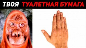 ТВОЯ ТУАЛЕТНАЯ БУМАГА ЭТО: | МИСТЕР ИСКЛЮЧИТЕЛЬНЫЙ