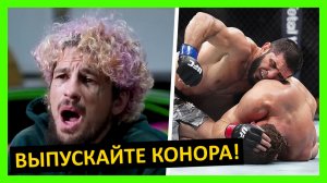 Махачев - Маддалена реакция на бой от Мухаммада, О’Мэлли, Уиттакера, Мендеса… 1 часть
