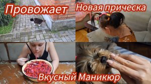 Семья из Мариуполя.Готови венигрет,вкуснющий.#мариуполь #мариупольвидео