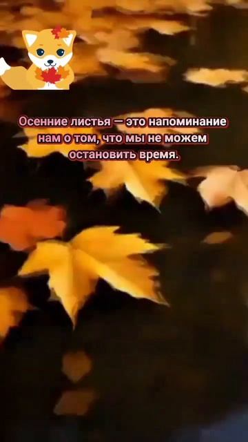 Время нельзя остановить! 👍😻#мудрыеслова смотреть онлайн