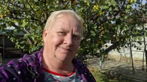 369. Привет из Крыма. Теплый ноябрьский понедельник. 17.11.25.