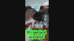 Я - мыться и спать