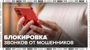 Операторы связи в РФ заблокировали 3,5 млрд мошеннических вызовов в 2025 году - Москва 24