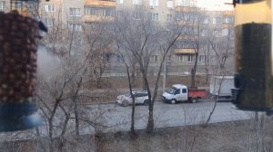 На кормушках