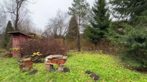 СНТ Выставочное