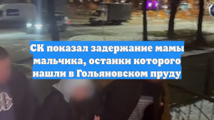 СК показал задержание мамы мальчика, останки которого нашли в Гольяновском пруду