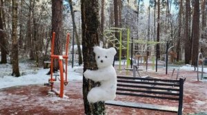 В парке Одинцово появился снежный аналог картины «Утро в сосновом лесу»