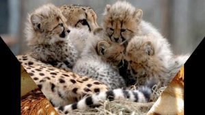 маме от Ислама