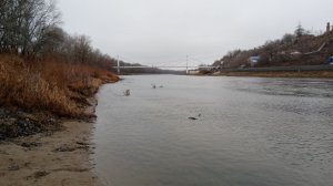 Ноябрь в Зауралке