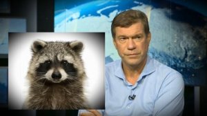 Как Царёв "охраноту" "засудил"...