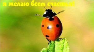 Молитва за мир во всем мире! Live 17.11.2025