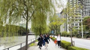 Осенняя магия Токио 🌙 прогулка по Императорскому саду и Маруноути