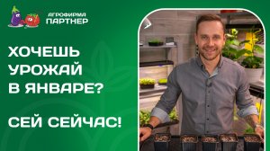 🪴 МАСТЕР-КЛАСС ПО ВЫРАЩИВАНИЮ ЗИМНЕГО ОГОРОДА! СПРАВИТСЯ ДАЖЕ РЕБЕНОК!