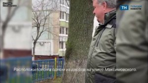 Глава администрации Беспалов рассказал о новом памятнике ученому коту в Заречье.