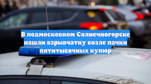 В подмосковном Солнечногорске нашли взрывчатку возле пачки пятитысячных купюр