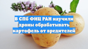 pre_Long_3271781320_combine_video