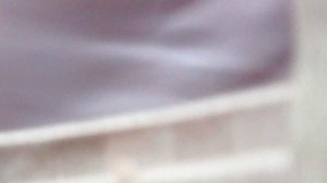 Исполняя заповедь Божию о родителях - ношу саженцы на зимнее хранение