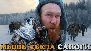 ВОЛКИ СЪЕЛИ ЛОШАДЬ! ПЕРВЫЙ ЛЁД!