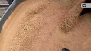 Гранулятор тарельчатый YJ-2000