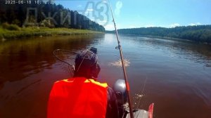 Кусочек Лета 2025. (стерлядь на джиг)