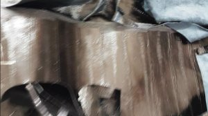 Коробка № АЕ275 Обрезки кожи МРС черные