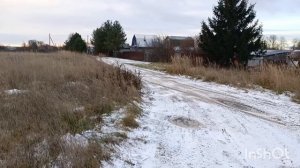 16.11.25. Дача. О Чипе.