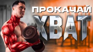 Как Укрепить ХВАТ Дома | 5 Лучших Упражнений для ПРЕДПЛЕЧИЙ