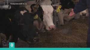 Александр Авдеев наградил лучших работников сельского хозяйства медалями и почётными грамотами