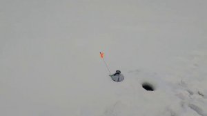 Рыбалка на жерлицы /Отличный клёв щуки