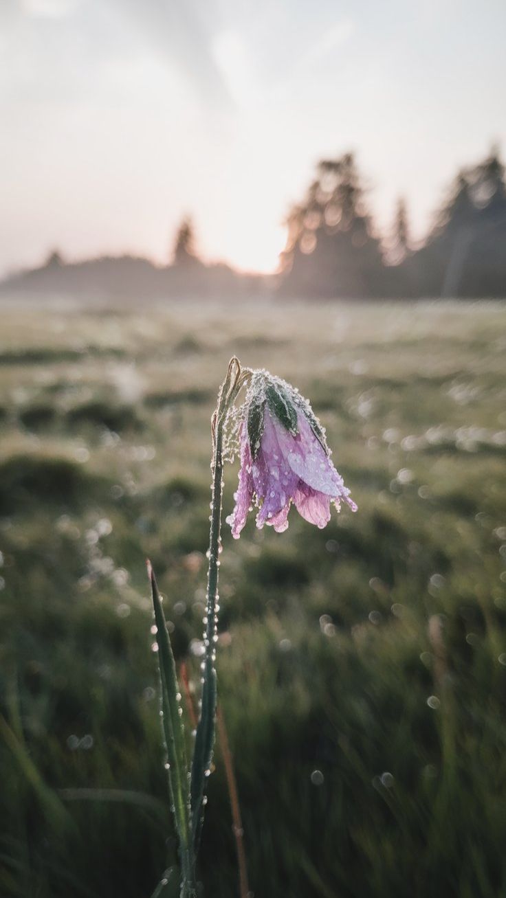 У двери сердца смотреть онлайн